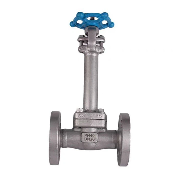 cryogenic globe valve4