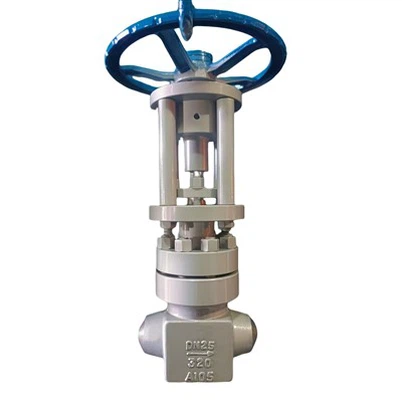 Come conservare correttamente una valvola a globo di tipo Y?